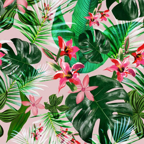 Tropical on pink