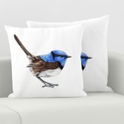 CUSHION Large Blue Wren Facing Right