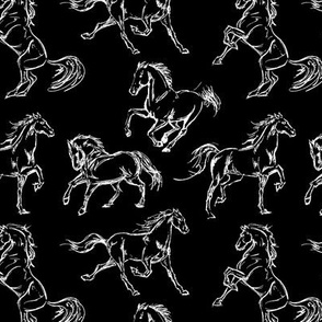 Horse Sketches // Black