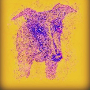 Curly whippet-PurpleOnGold