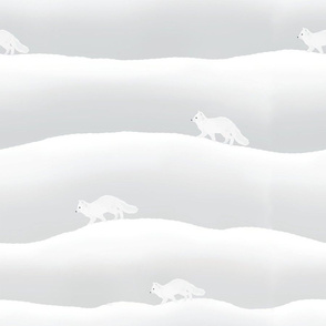 artic foxes
