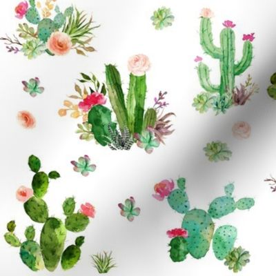 Watercolor Cactus and  Succulents