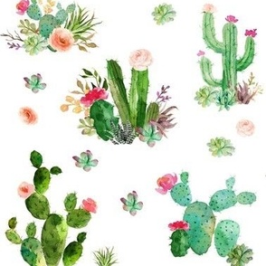Watercolor Cactus and  Succulents