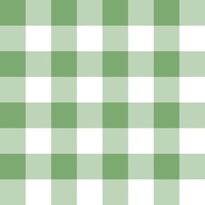 Plain Gingham in Grass Green