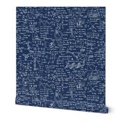 Physics Equations on Navy // Large