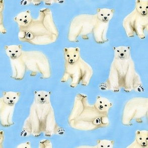 Polar Bears