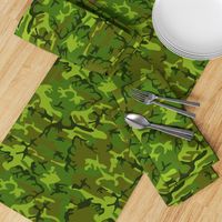 US Woodland Camo // Light