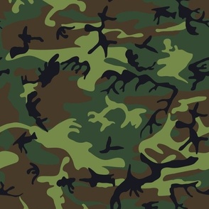 m81 - US Woodland Camo