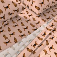 bloodhound dog breed fabric dog lover pet friendly peach