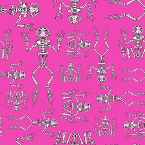 frog skeleton pink