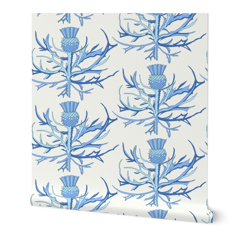 Scottish Garden Thistle, Blue