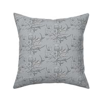 Scottish Garden Thistle, Grey