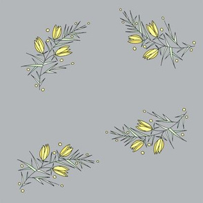 Scottish Gorse, Grey