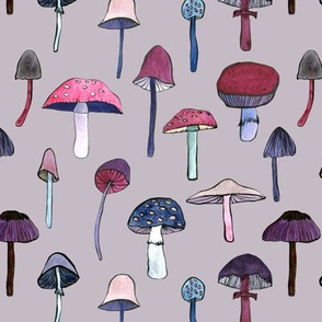 mushroom heaven