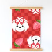 Maltese red Strawberry XL