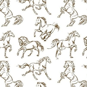 Brown Horse Sketches