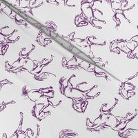 Purple Horse Sketches