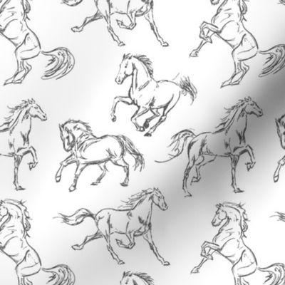 Grey Horse Sketches