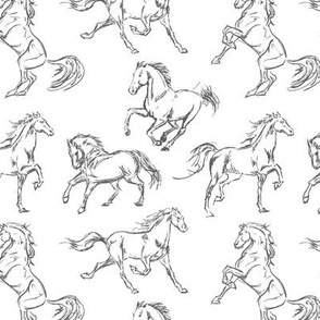 Grey Horse Sketches