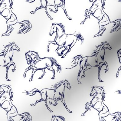 Blue Horse Sketches