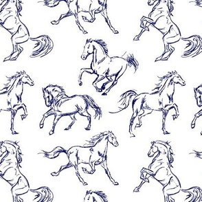 Blue Horse Sketches