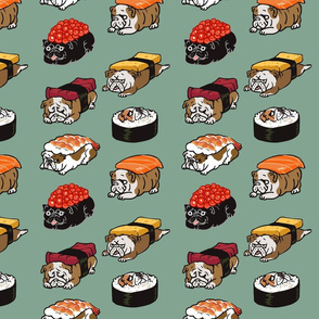 Sushi English Bulldog