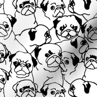 Oh Pugs