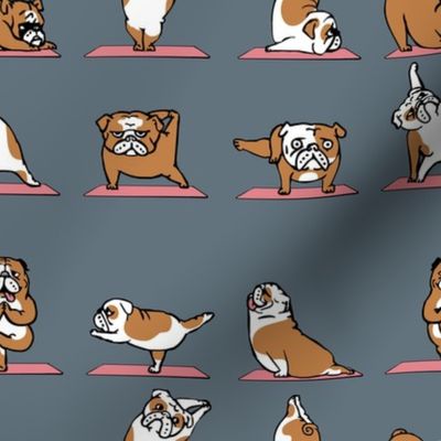 English Bulldog yoga