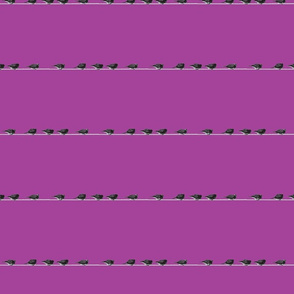 birds on a wire purple