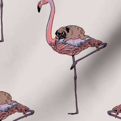 Flamingo and pug