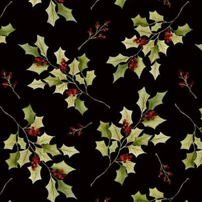 Holly branches black