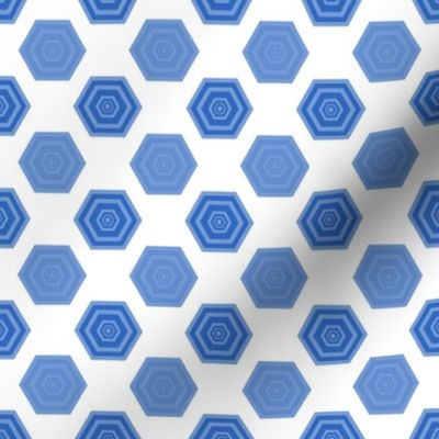 Hexagons in Blues and White