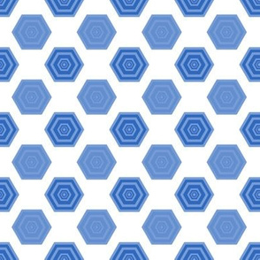 Hexagons in Blues and White