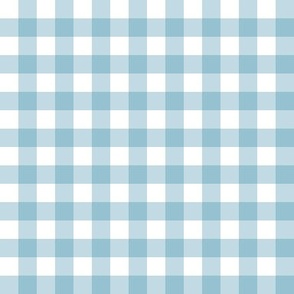 1/2” Gingham Check (sky blue) Joy collection