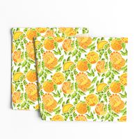 Doodly Oranges!