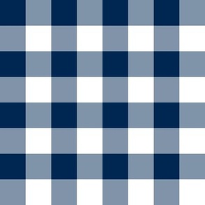 Plain Gingham in Ink Blue