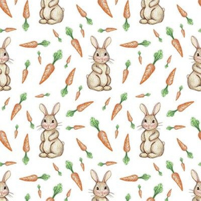 Bunny and Carrot Love on White