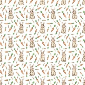 Tiny Carrot and Bunny Love on white