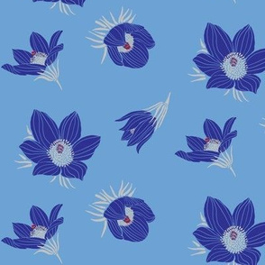 Arctic Blue Pasque flower #2 (Pantone little boy blue)