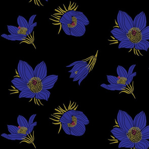 Arctic Blue Pasque flower #2 (black)