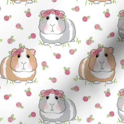 guinea-pigs-with-roses-on-white