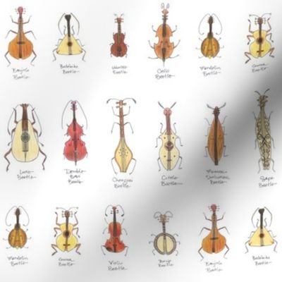 stringed beetles small