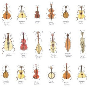 stringed beetles small