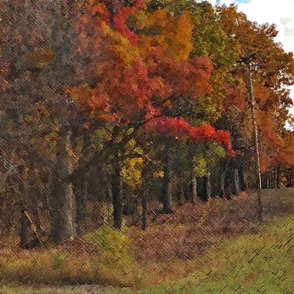 Autumn Foliage Forest's Edge CP DB SPTTR 21x18