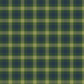Blue and Green Plaid