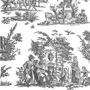 Marseilles Toile ~   Black  and White