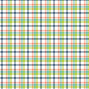 Coral, Navy, Aqua, and Lime Plaid