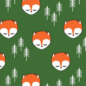 sleepy fox -  pine