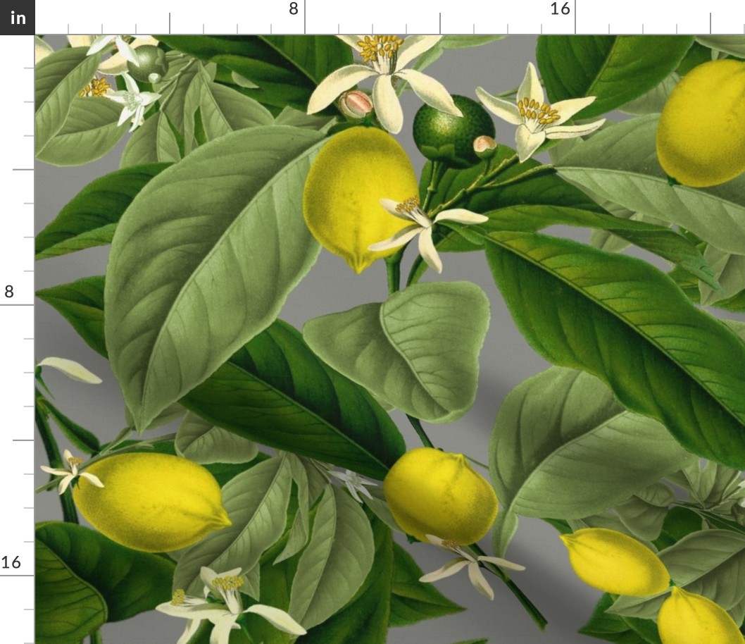 Lemon Botanical ~ Earl Grey ~ Faux Canvas 