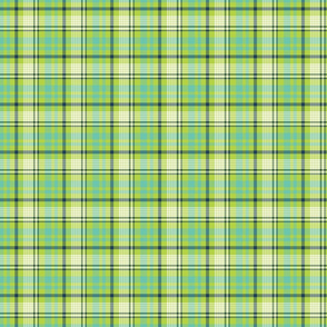 Navy, Aqua, and Lime Plaid